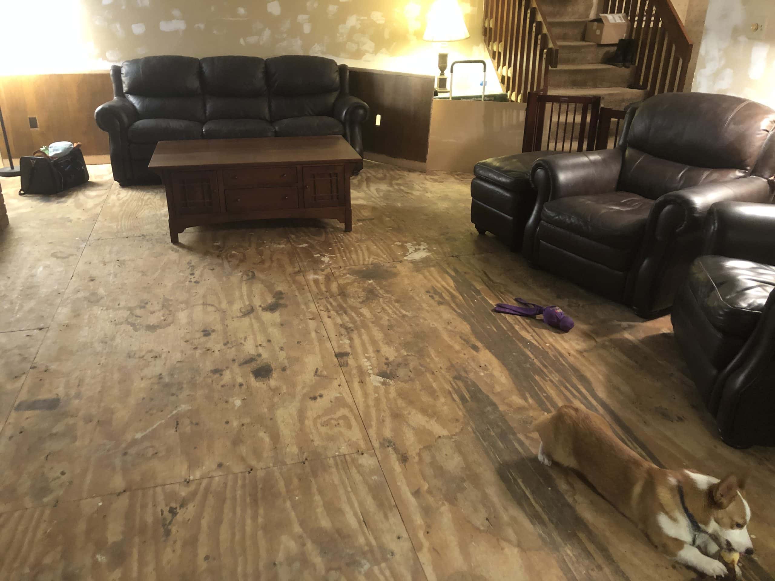 Remodeling Floor Remodeling Floor